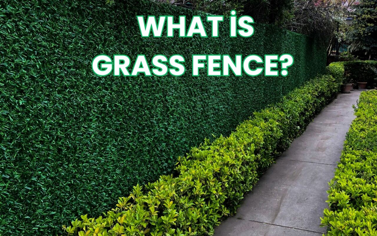 What is Grass Fence? 