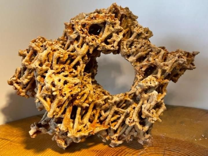 Spaghetti Aquarium Taşı